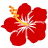 hibiscus-icon-001